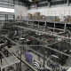 CFT Beverage Filling Line for Cans and Bottles